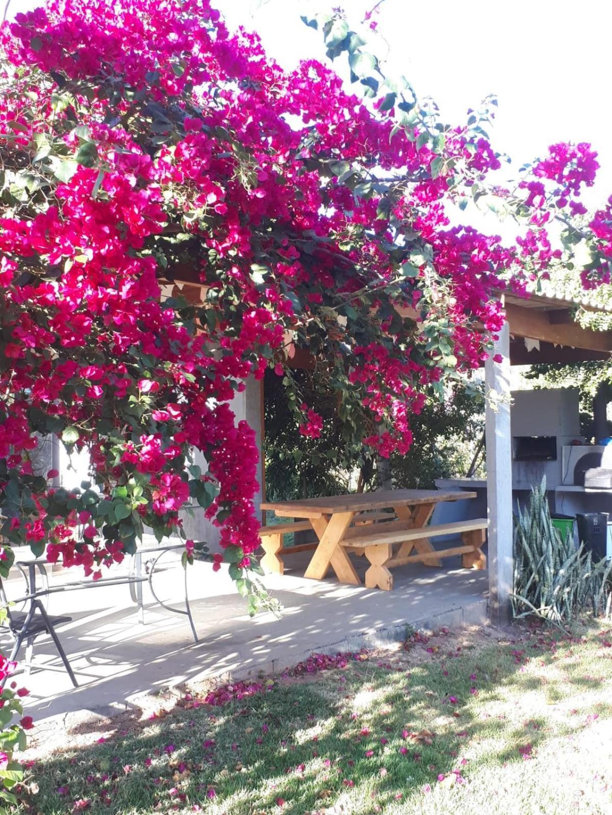 Reserva Jasmim Manga Vila Pirenópolis Exterior foto